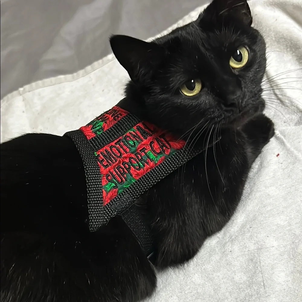 Emotional Support Cat Harness - Black and Red